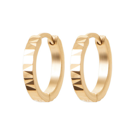 Hoop Earrings - 1616516