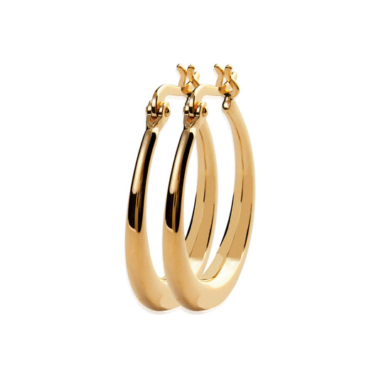 Hoop Earrings - 1619200