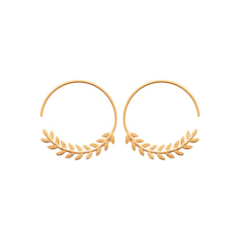 Hoop Earrings - 1625500