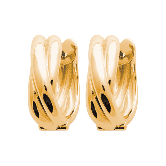 Hoop Earrings - 1632600