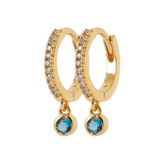 Hoop Earrings  PS - 1635360