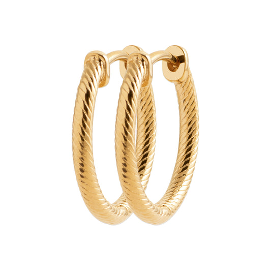 Hoop Earrings - 1635720