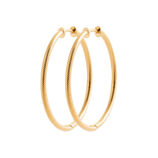 Hoop Earrings - 1635740