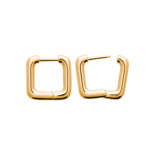 Hoop Earrings - 1636200