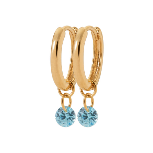 Hoop Earrings PS - 1637960