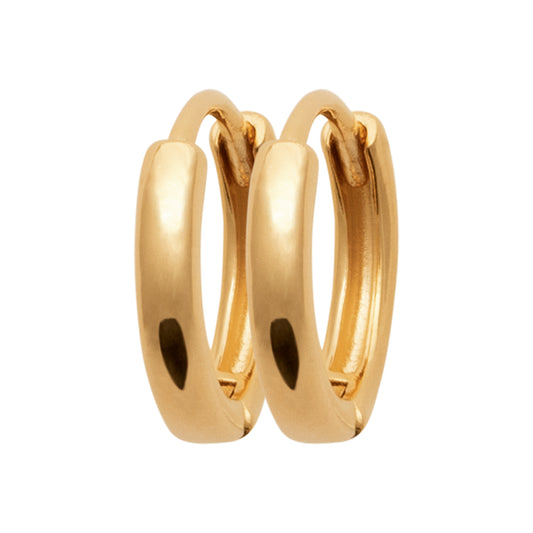 Hoop Earrings - 1638412