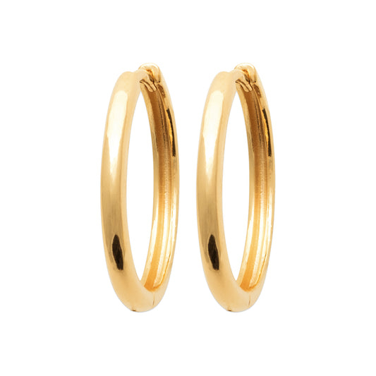 Hoop Earrings - 1638420