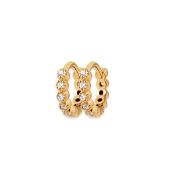 Hoop Earrings  - 1639510