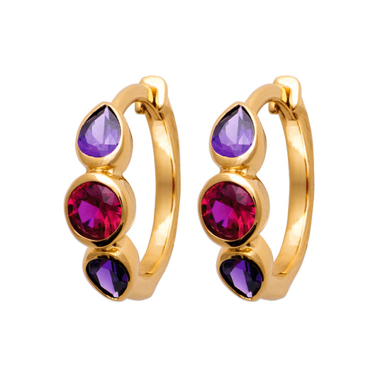 Hoop Earrings PS - 1645270