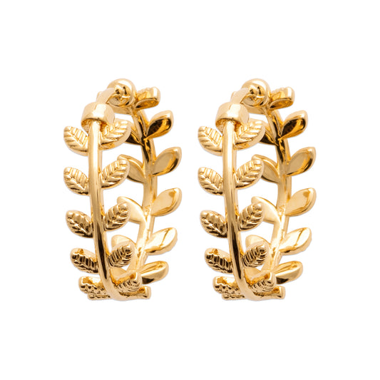 Hoop Earrings - 1645400