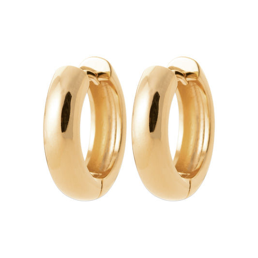 Hoop Earrings - 1657620