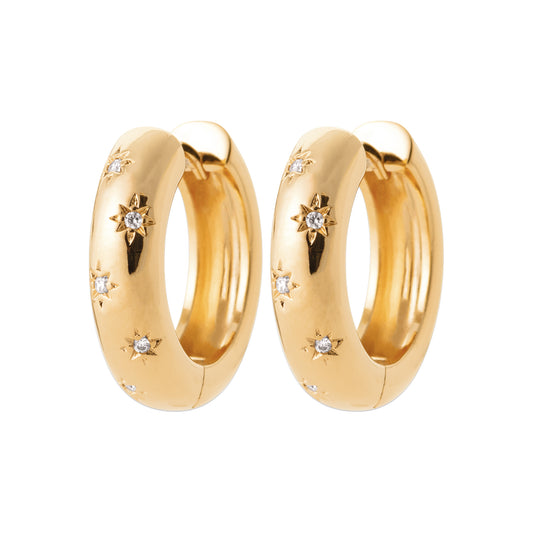 Hoop Earrings  - 1658010