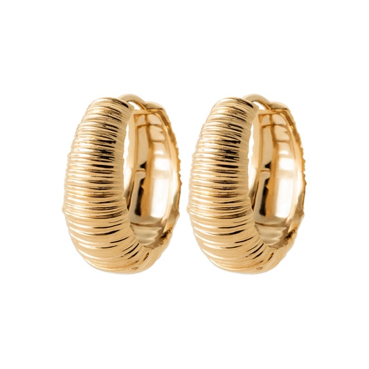 Hoop Earrings - 16510000