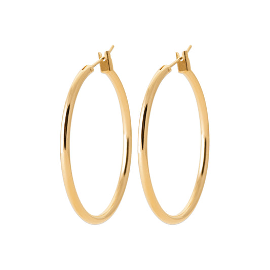 Hoop Earrings - 199130