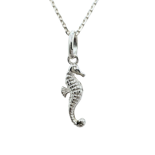Seahorse