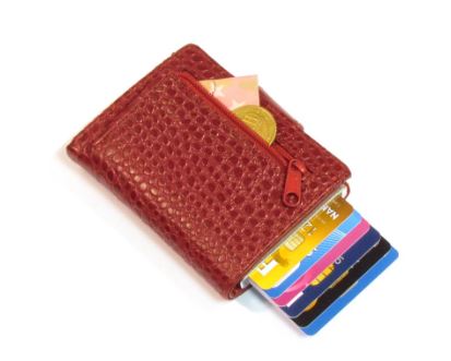 FIG - Single Stitch Red Croc