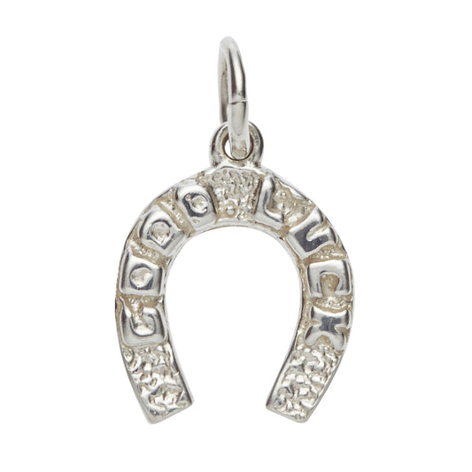 Good Luck Horseshoe