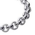 Rolo Link Necklace