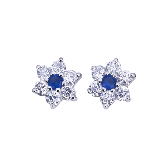 Clstr w/ Blue Centre