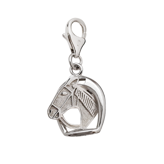 Horse Head in Stirrup